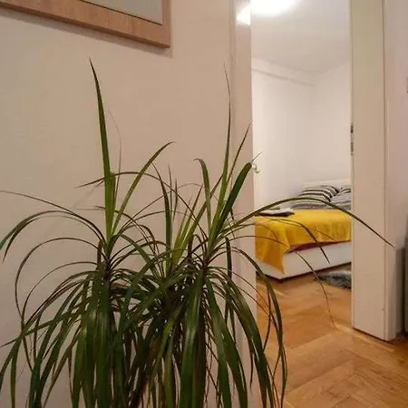 Centar Stan Na Dan Za Do 4 Osobe Apartment Novi Sad Exterior photo