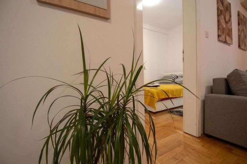 Centar Stan Na Dan Za Do 4 Osobe Apartment Novi Sad
